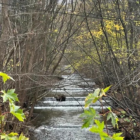 Gor-ski شقة فندقية 3*