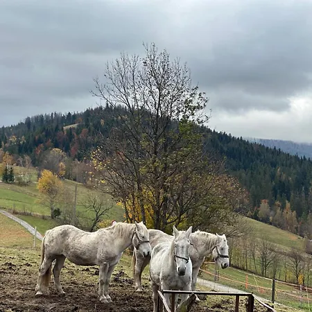 شقة فندقية Gor-ski