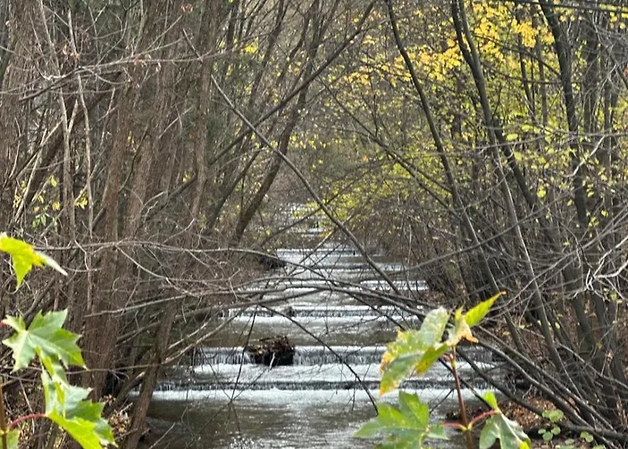 Gor-ski Aparthotel 3*